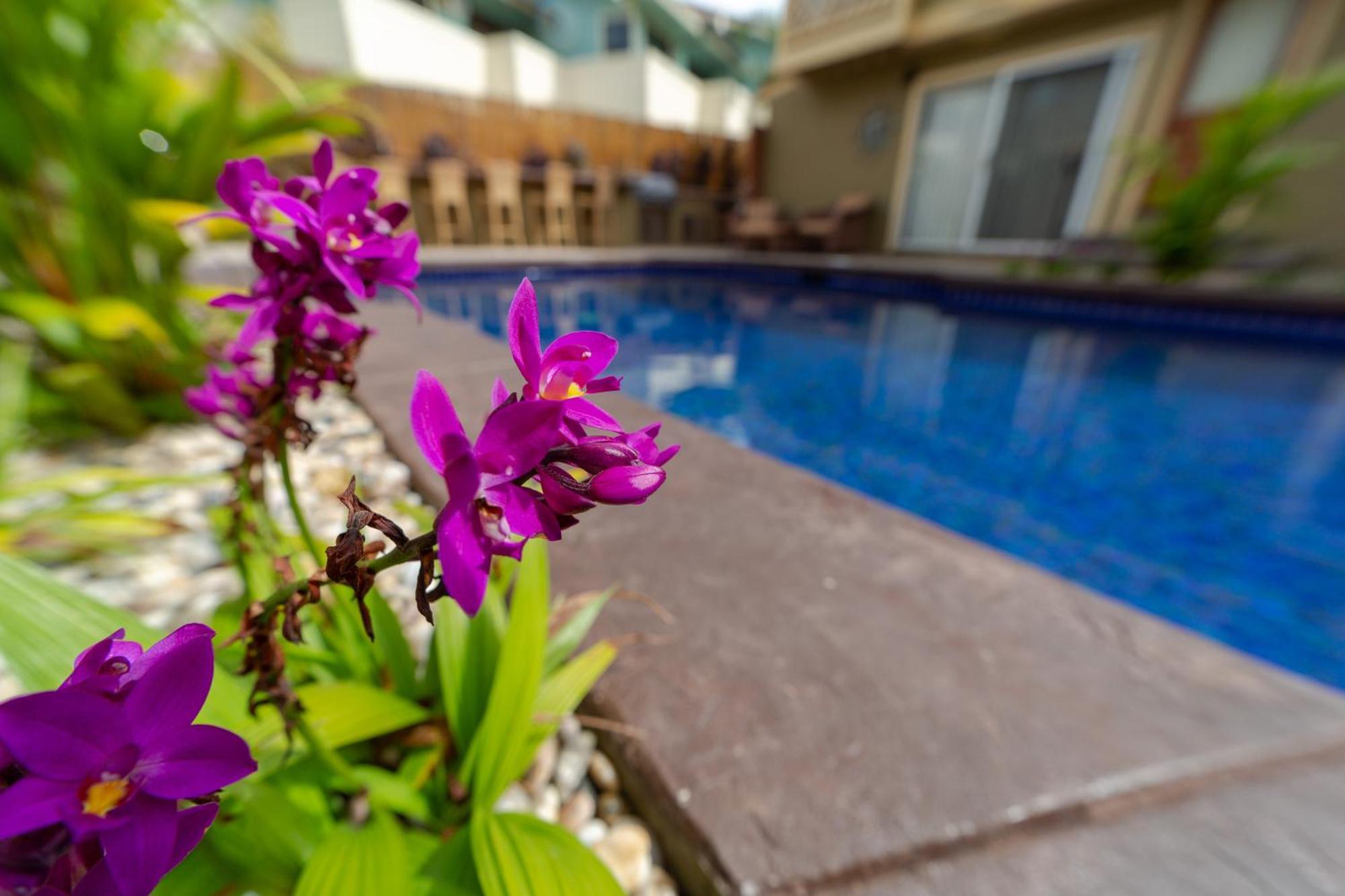Plumeria Suite, 2-Bedrooms, Sleeps 6, Pool & Bbq, Pre-Renovation Summer Sale Kihei Eksteriør bilde
