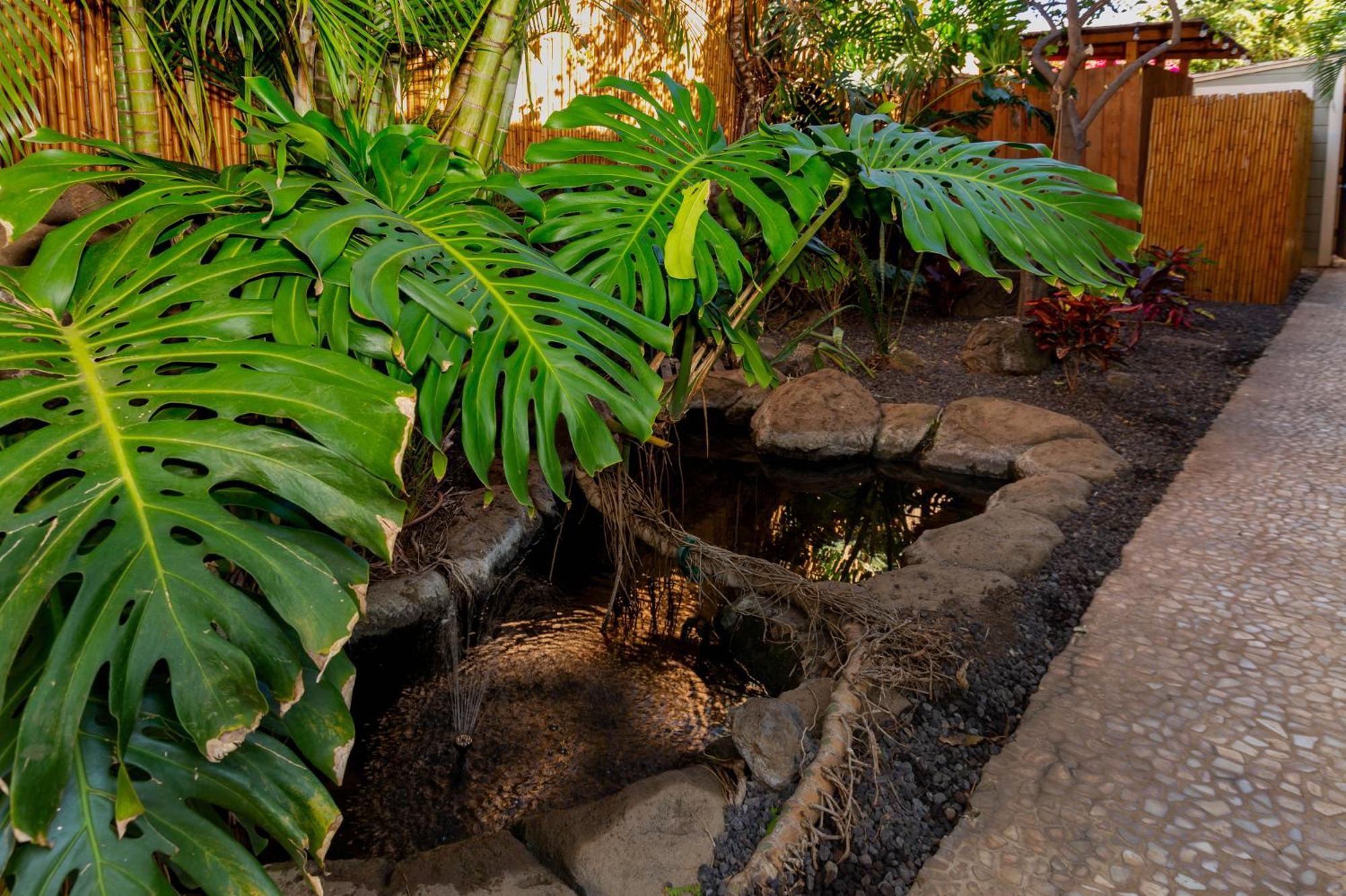 Plumeria Suite, 2-Bedrooms, Sleeps 6, Pool & Bbq, Pre-Renovation Summer Sale Kihei Eksteriør bilde